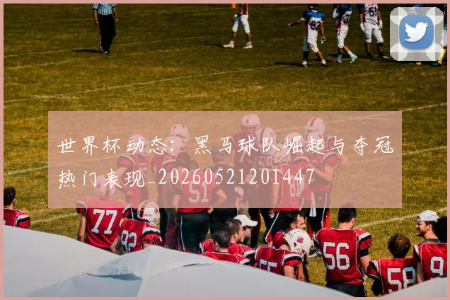 世界杯动态：黑马球队崛起与夺冠热门表现_20260521201447