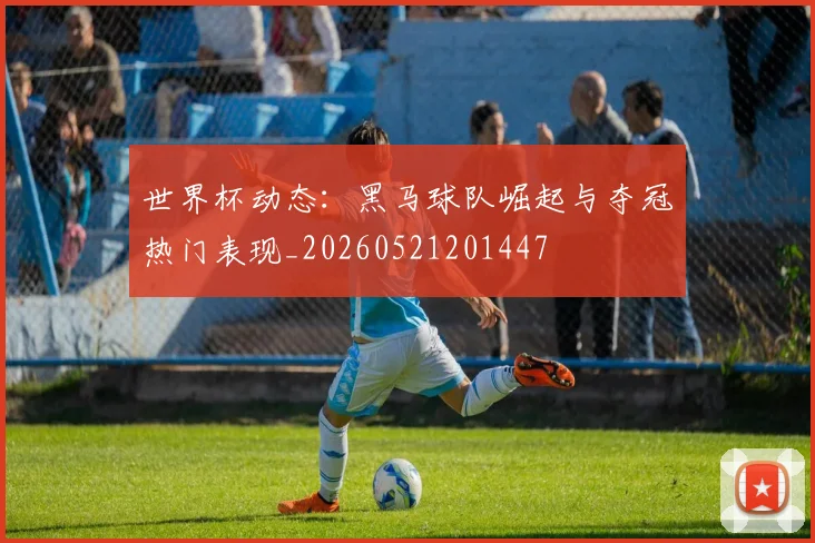 世界杯动态：黑马球队崛起与夺冠热门表现_20260521201447